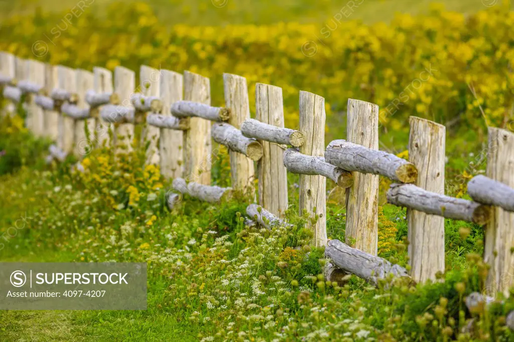 Wooden fence in a field, North Rustico, Prince Edward Island, Canada