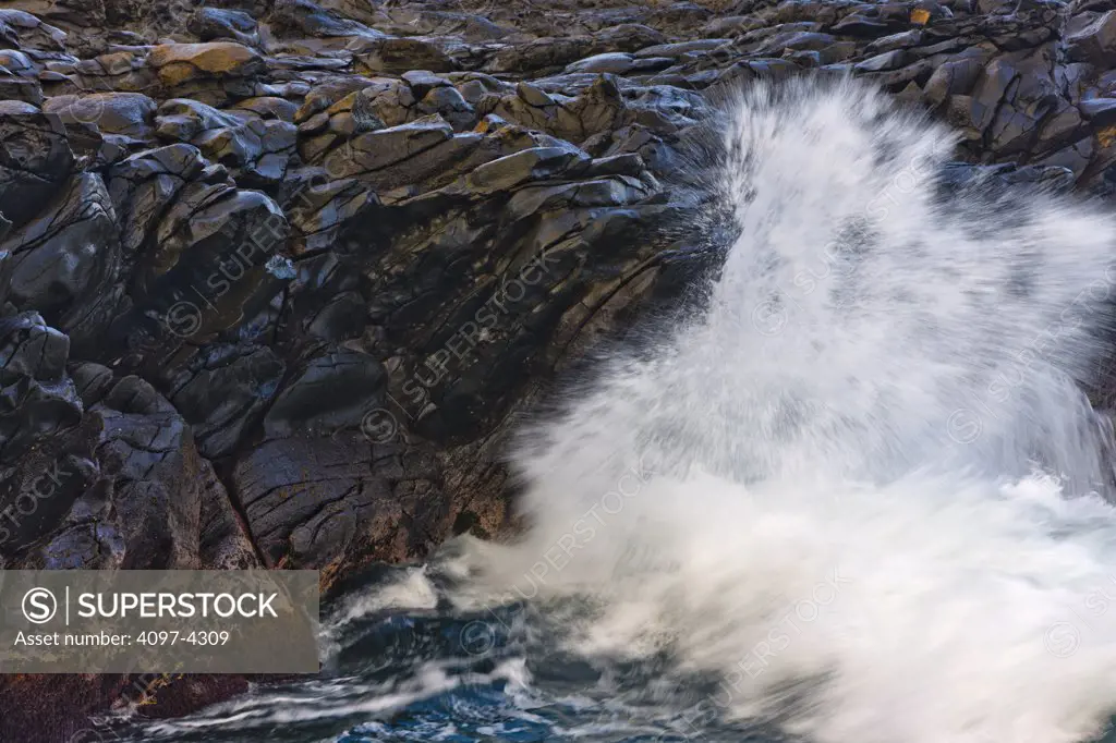 Waves breaking on the coast, Kapalua, Maui, Hawaii, USA
