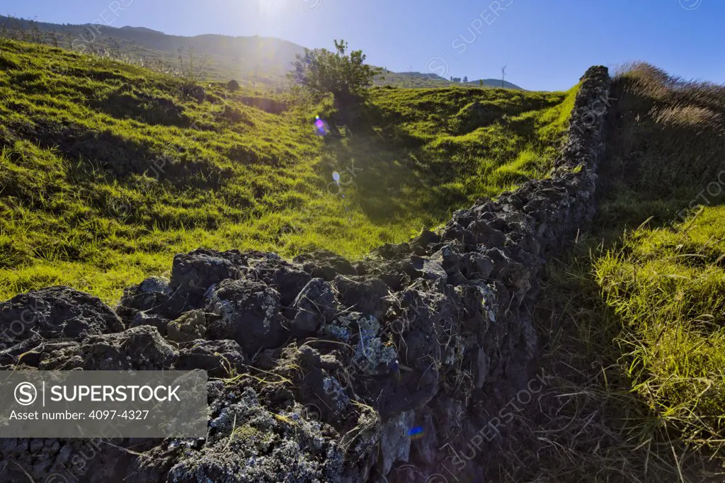 Stone fence and pasture, Maui, Hawaii, USA