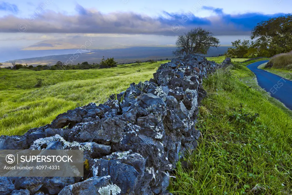 Stone fence and pasture, Maui, Hawaii, USA