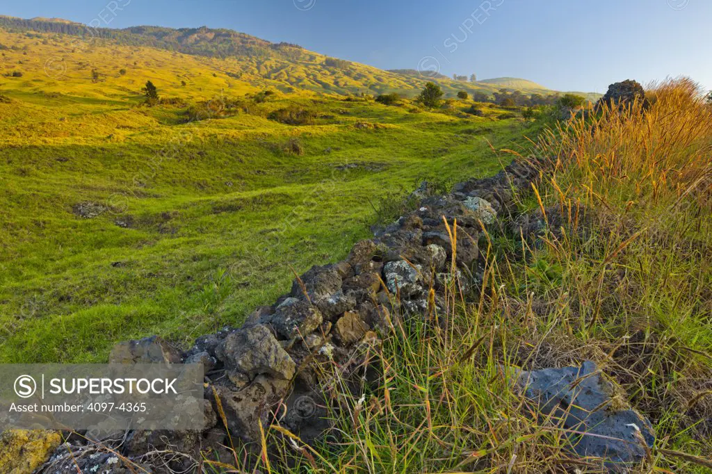 Stone fence and pasture, Maui, Hawaii, USA
