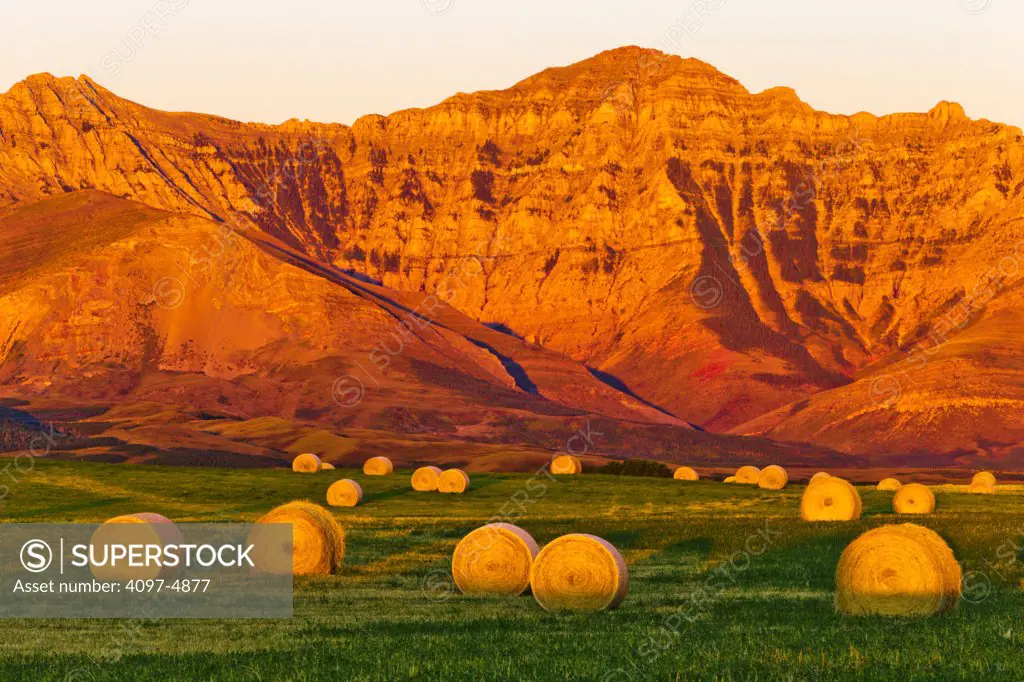 Canada, Alberta, Hay bails on field with mountains in background