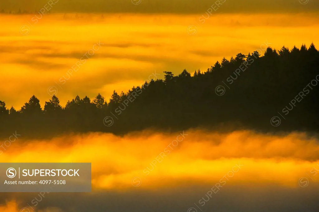 Canada, British Columbia, Vancouver Island, View of Saanich Peninsula in morning fog
