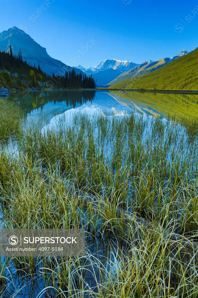 Canada, Alberta, Jasper National Park, Mount Andromeda and Beauty Creek