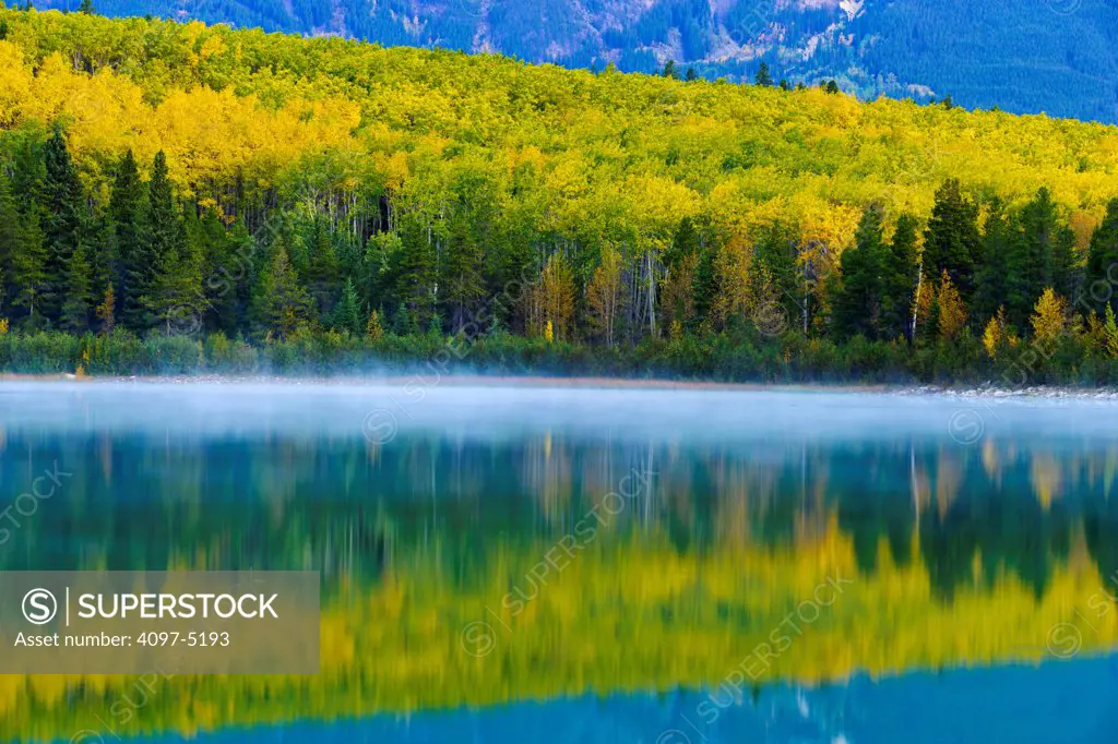 Canada, Alberta, Jasper National Park, Patricia Lake