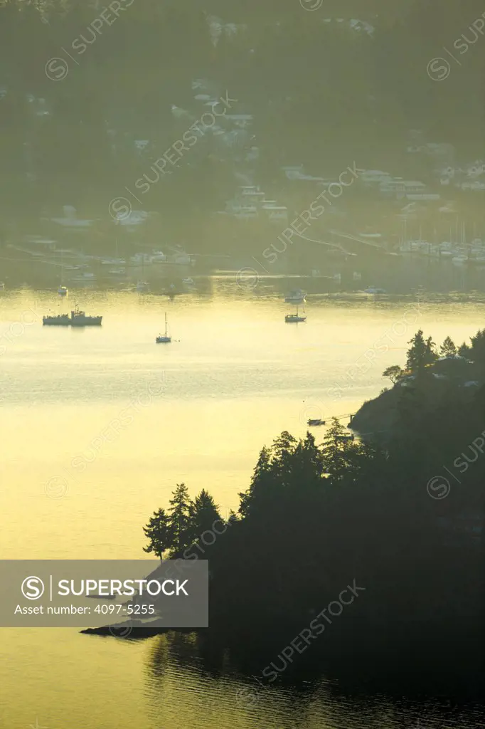 Canada, British Columbia, Vancouver Island, Brentwood Bay and Finlayson Arm in fog