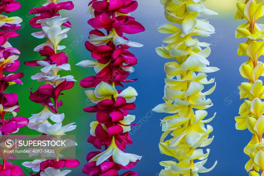 USA, Hawaii, Maui, Flower garland