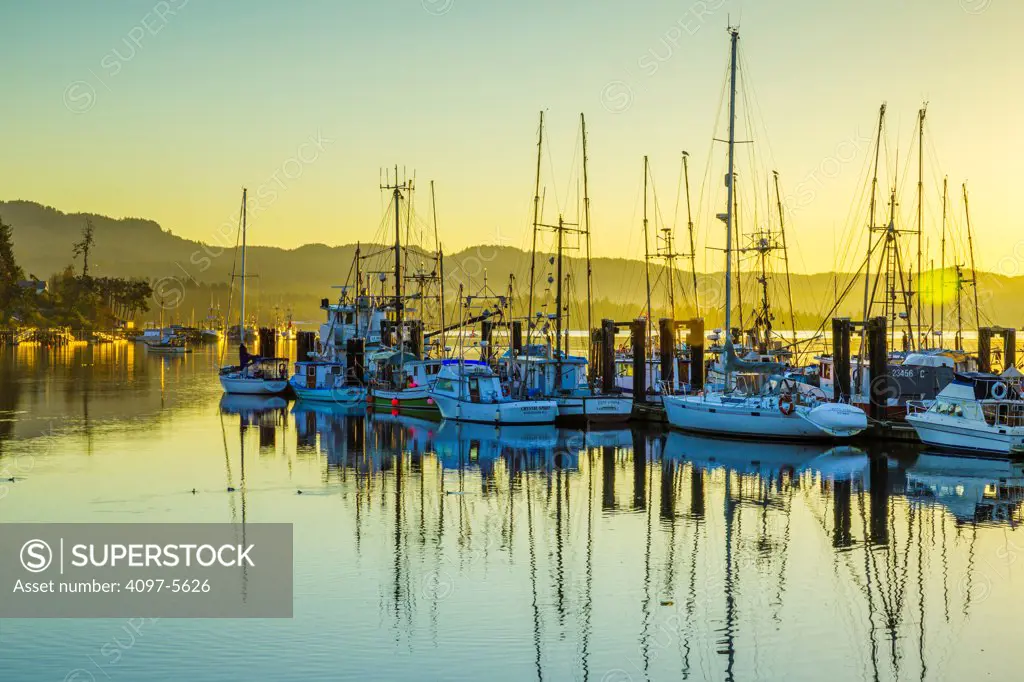 commercial fishing boats, Vancouver Island