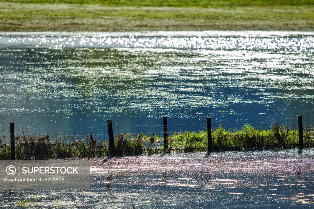 Canada, British Columbia, Vancouver Island, Flooded farm field and fence