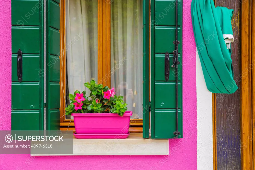 window and shutters with plant pot, Island of Burano off Venice