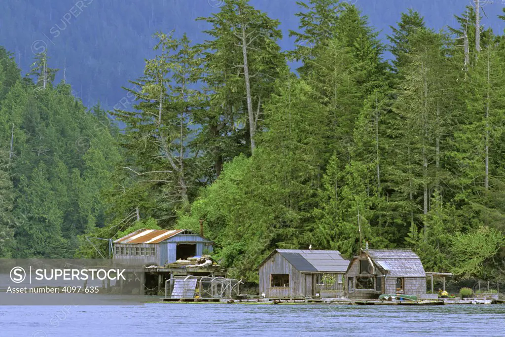 Houses at the riverbank, Pacific Rim National Park Reserve, Vancouver Island, British Columbia, Canada