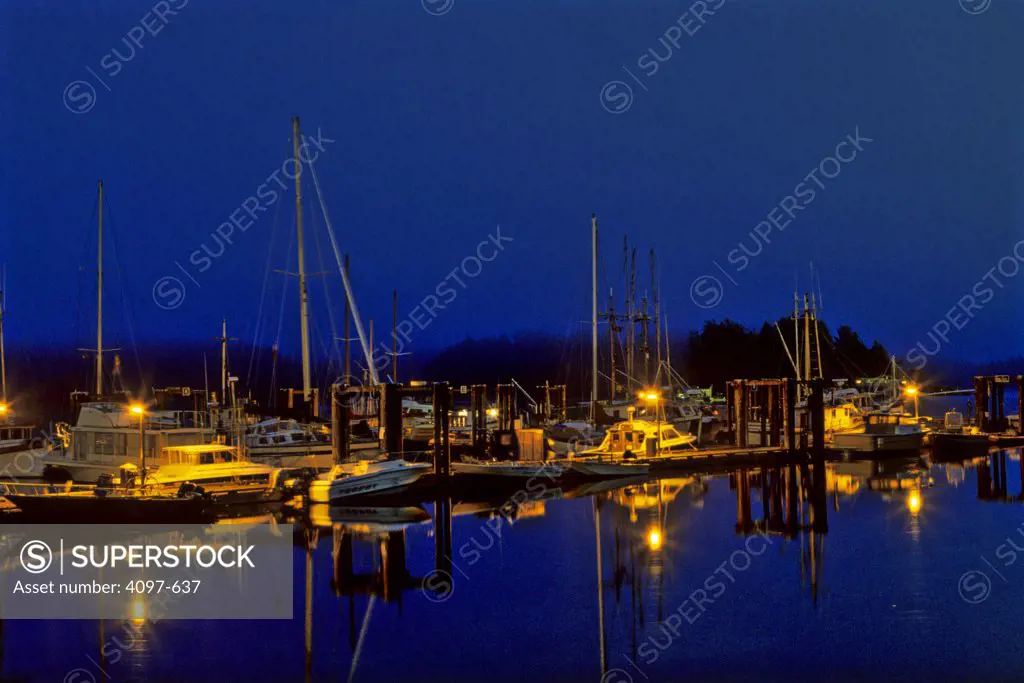 Fishing boats in the sea, Pacific Rim National Park Reserve, Tofino, Vancouver Island, British Columbia, Canada