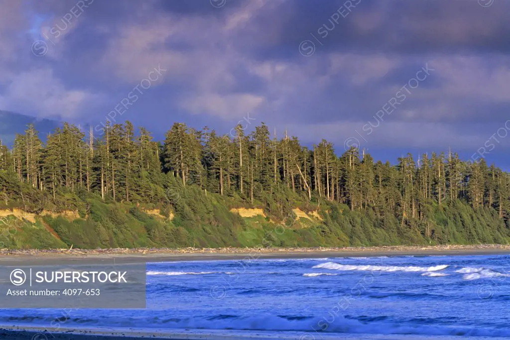 Waves in an ocean, Long Beach, Pacific Rim National Park Reserve, Vancouver Island, British Columbia, Canada