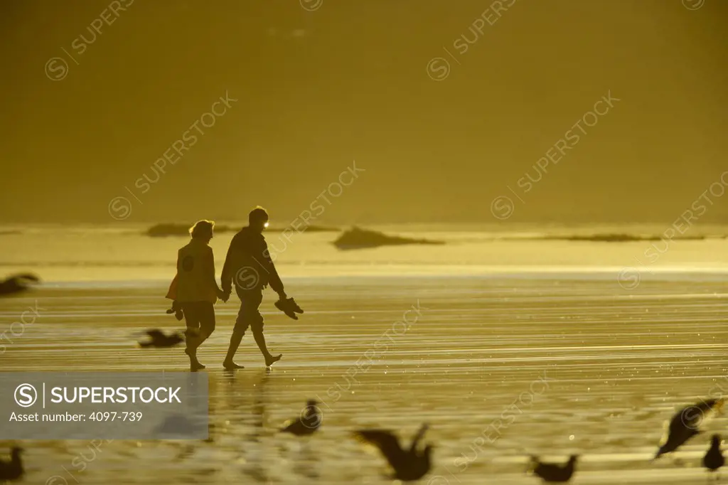 Couple walking on the beach, Long Beach, Pacific Rim National Park Reserve, Vancouver Island, British Columbia, Canada