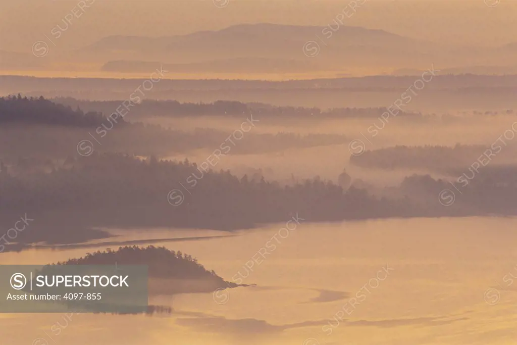 Forest covered with fog, Finlayson Arm, Saanich Peninsula, Vancouver Island, British Columbia, Canada