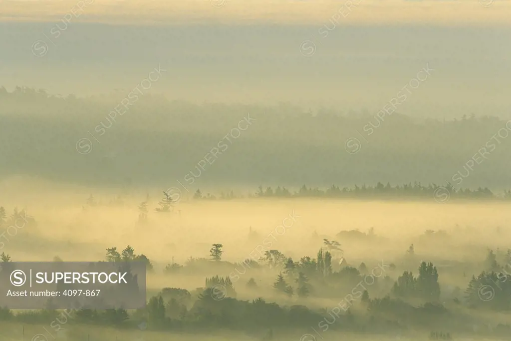Farm covered with fog, Saanich Peninsula, Vancouver Island, British Columbia, Canada