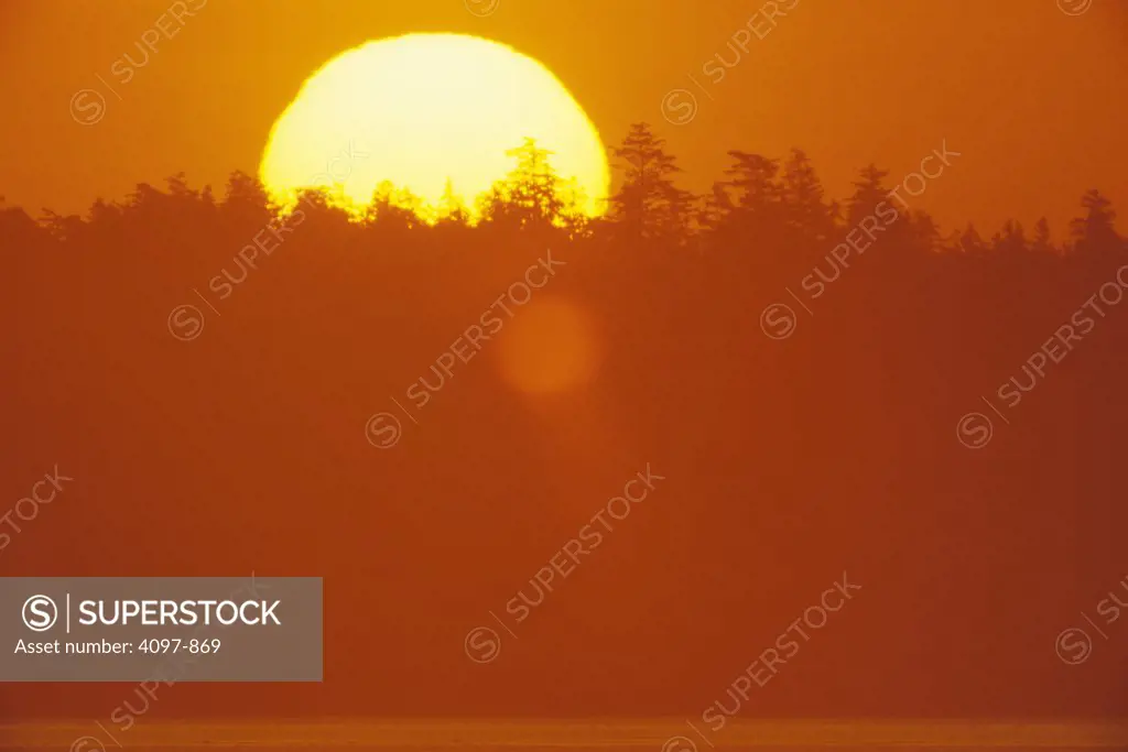 Sunrise behind trees, San Juan Islands, Vancouver Island, British Columbia, Canada