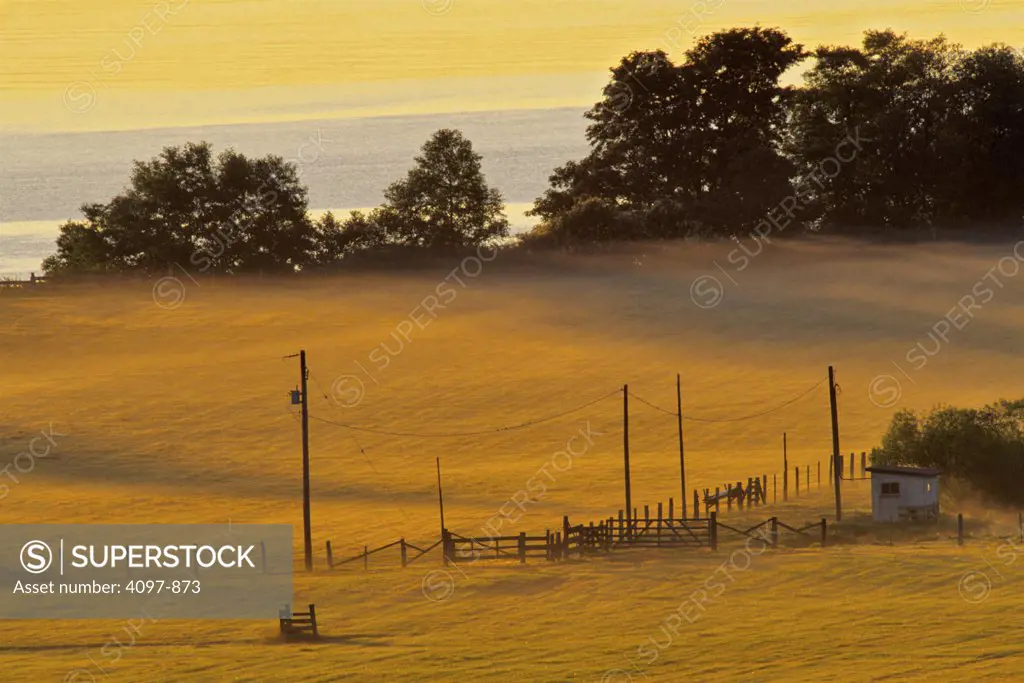 Fence in a field, Haro Strait, Saanich Peninsula, Victoria, British Columbia, Canada
