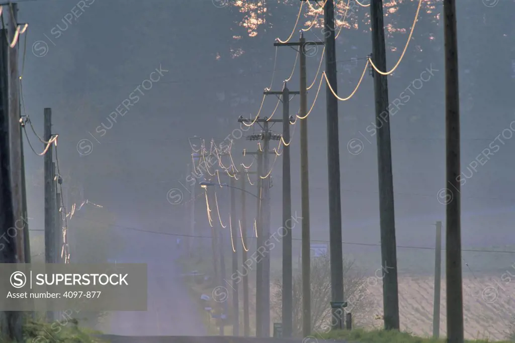 Electricity pylons along a road, Vancouver Island, British Columbia, Canada