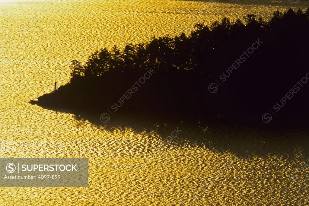 Silhouette of trees at riverside, Finlayson Arm, Saanich Peninsula, Vancouver Island, British Columbia, Canada