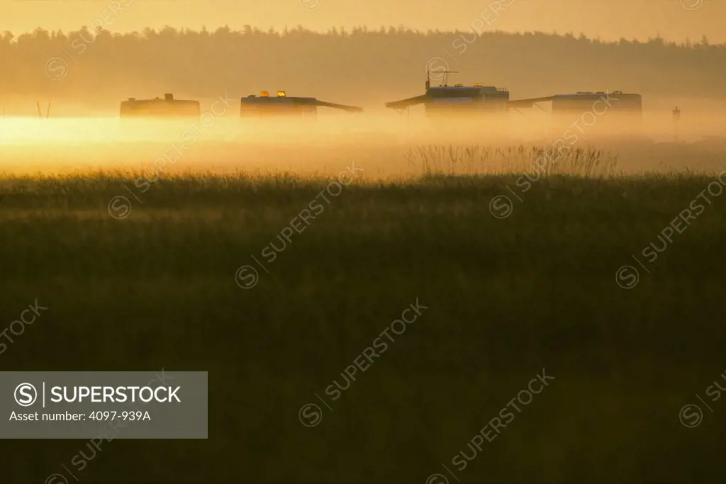 Tents covered with fog, Saanich Peninsula, Vancouver Island, British Columbia, Canada