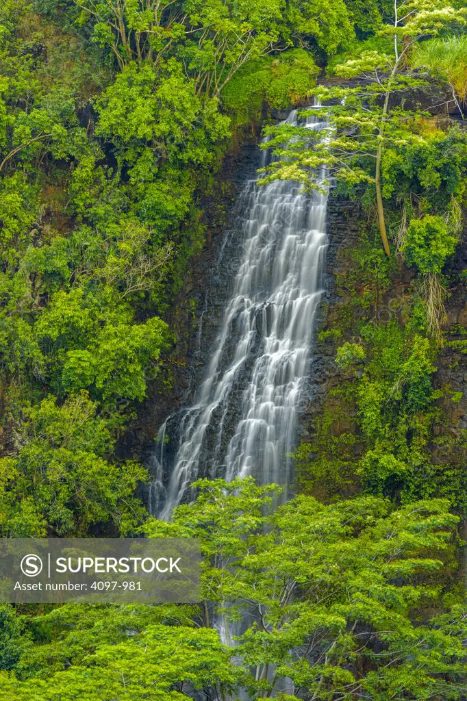Waterfall in a forest, Opaekaa Falls, Wailua Valley, Kauai, Hawaii, USA