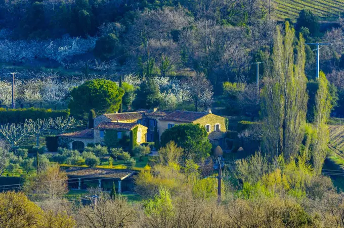 vinyard estate and cherry orchard seen from town of Bonnieux, Provence, France