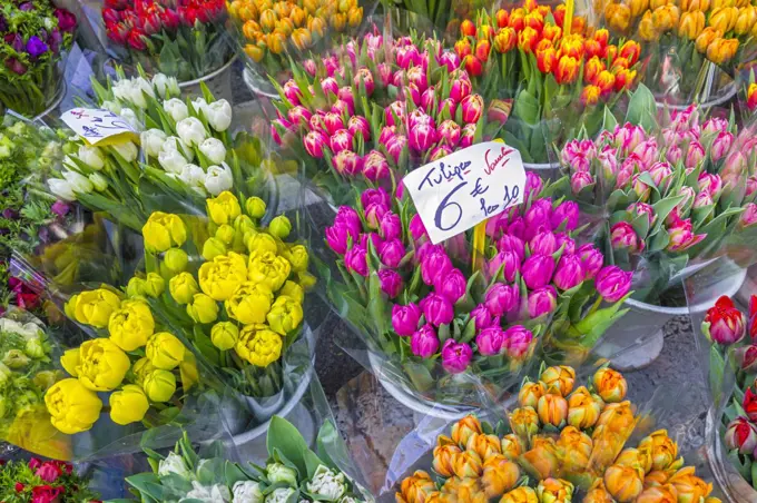 Flower bouquets at outdoor public market, Provence, France