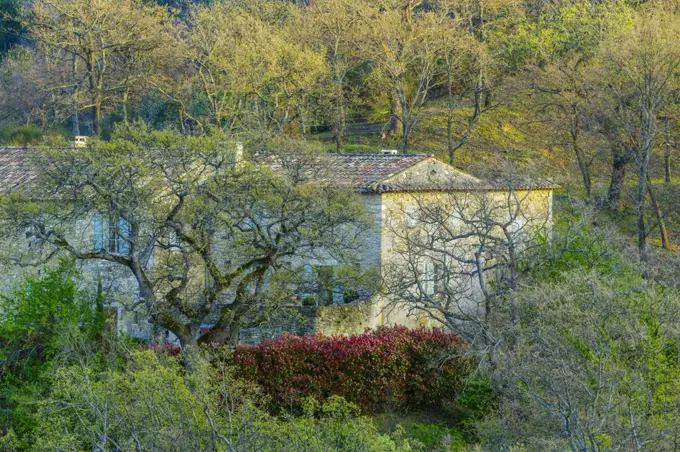 Vinyard estate in spring, Provence, France