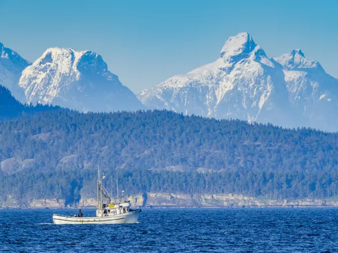 Commercial fishing off Vancouver Island
