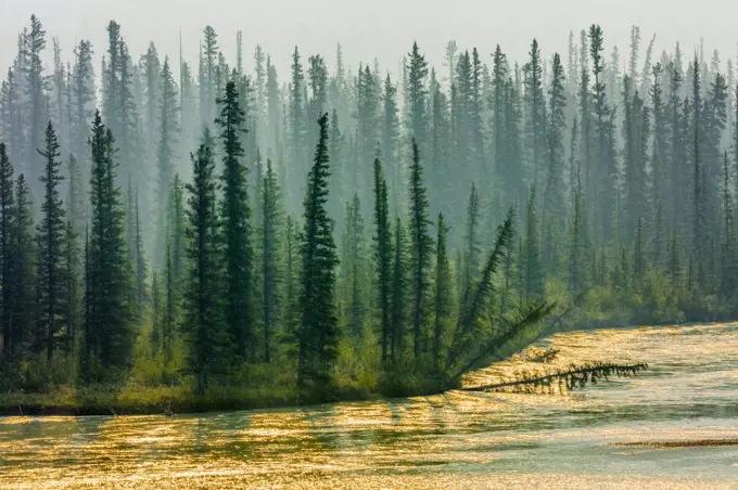 Athabasca River in Jasper National Park, Alberta Canada