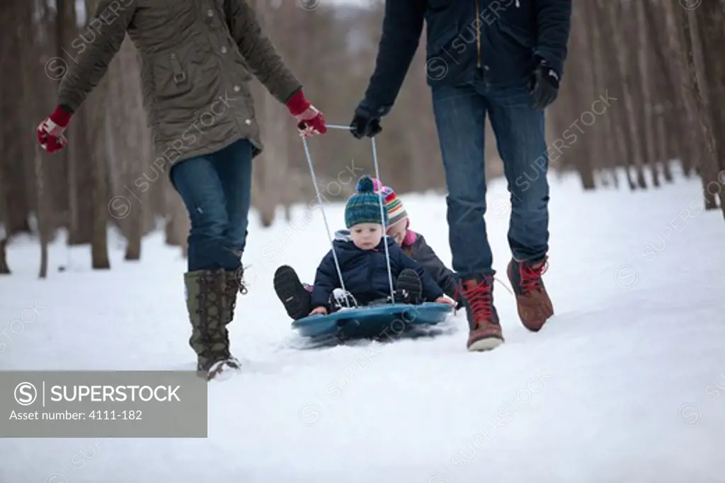 Parents pulling their children on a sled, Traverse City, Grand Traverse County, Michigan, USA