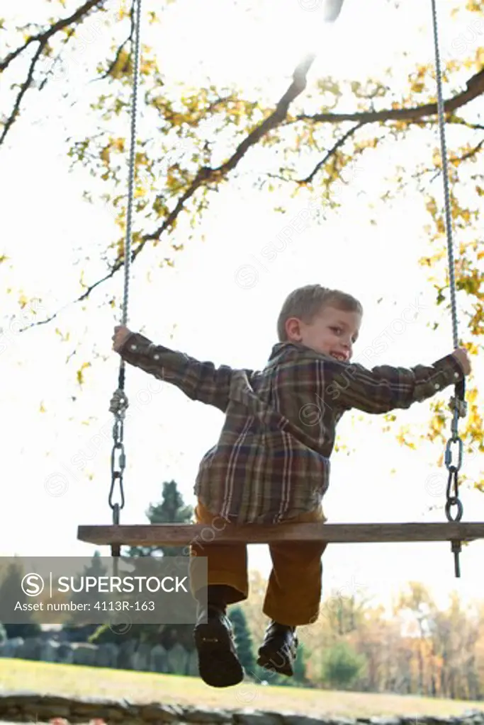 Rear view of boy on swing