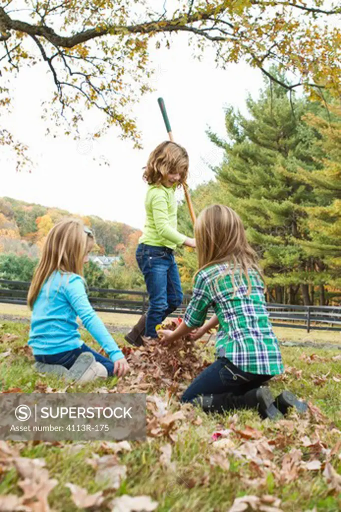 Girls playing with Autumn leaves in field