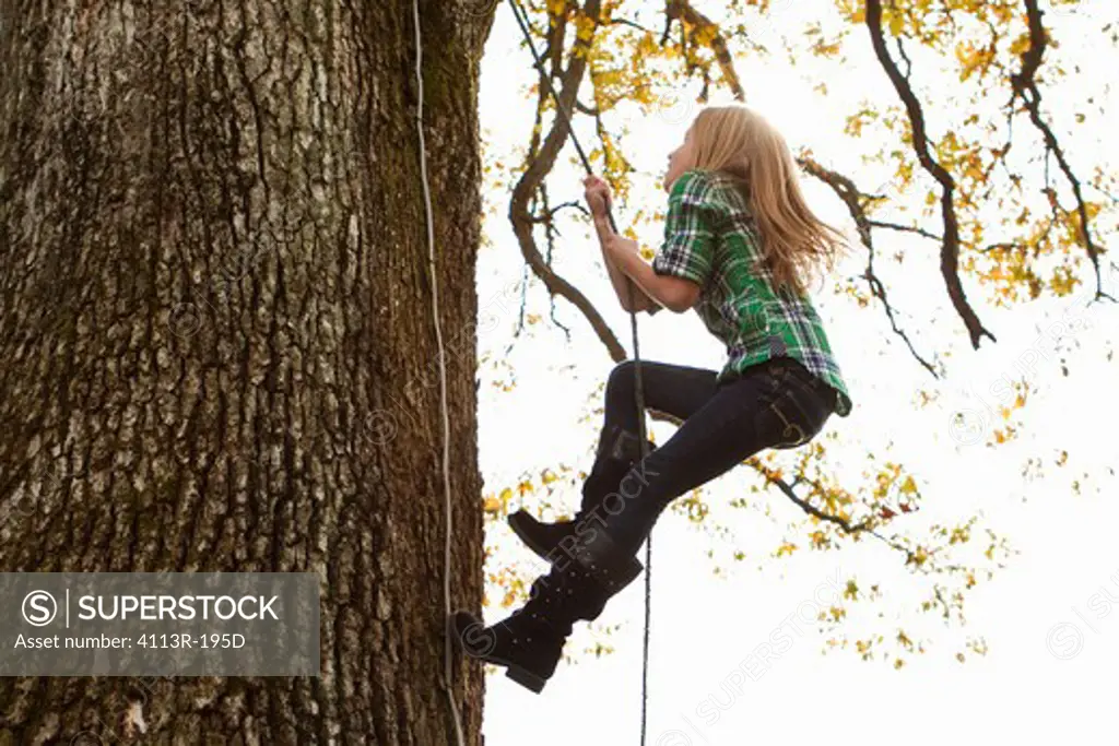 Girl climbing up tree