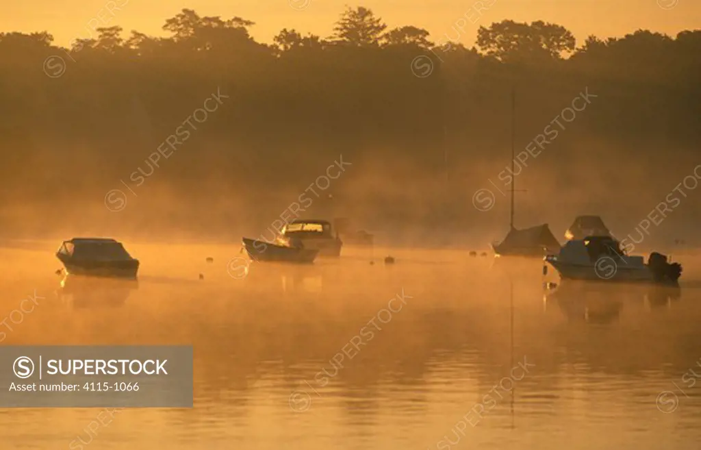 A dawn mist surrounding moored boats in Cape Cod, Massachusetts, USA.