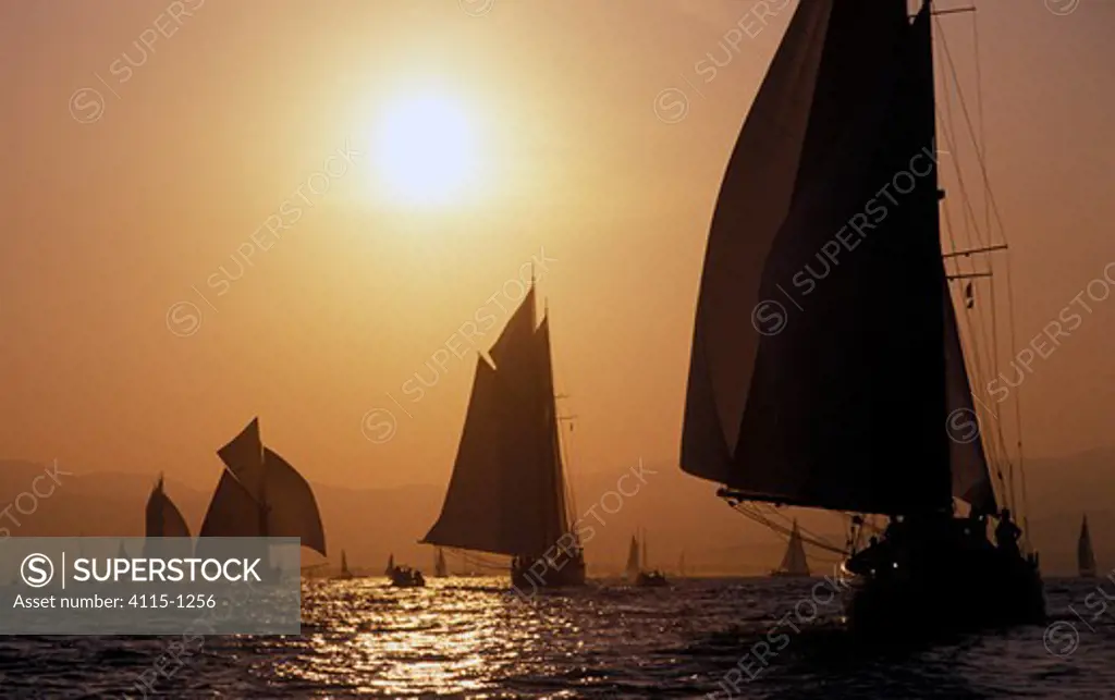 Fleet of classic gaffers sailing at sunset in La Nioulargue, 1991.