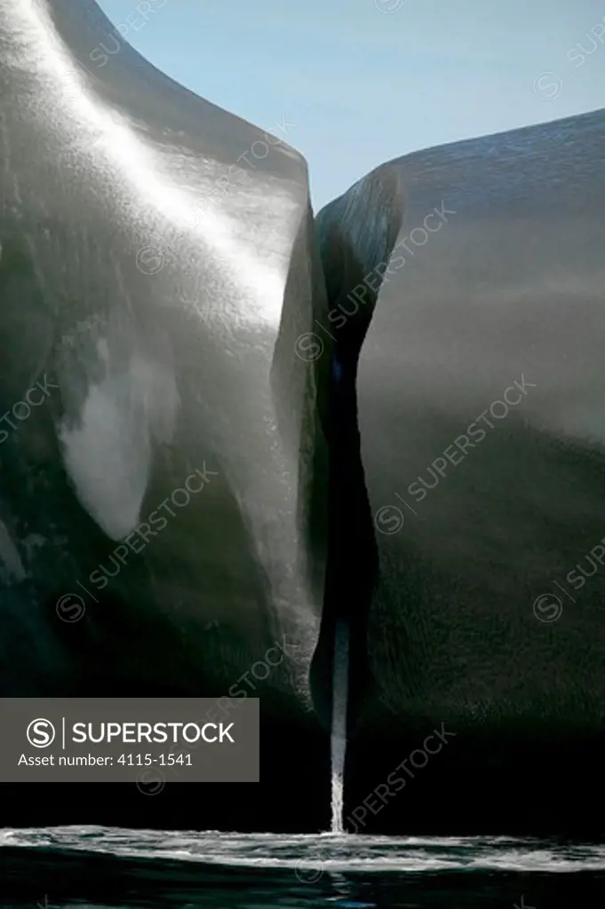 Water pouring from a smooth black iceberg, South Georgia.