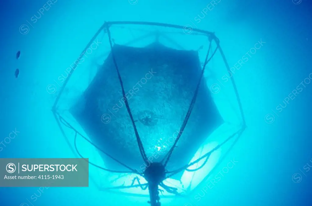Aquaculture equipment with fish inside, Marina di Camerota, Campania, Italy.