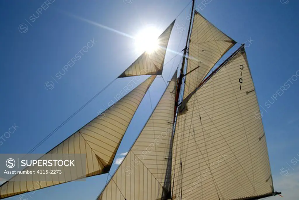 Sun shining through sails of 'Mariquita' during the Solent Race, The British Classic Yacht Club Regatta, Cowes Classic Week, July 2008