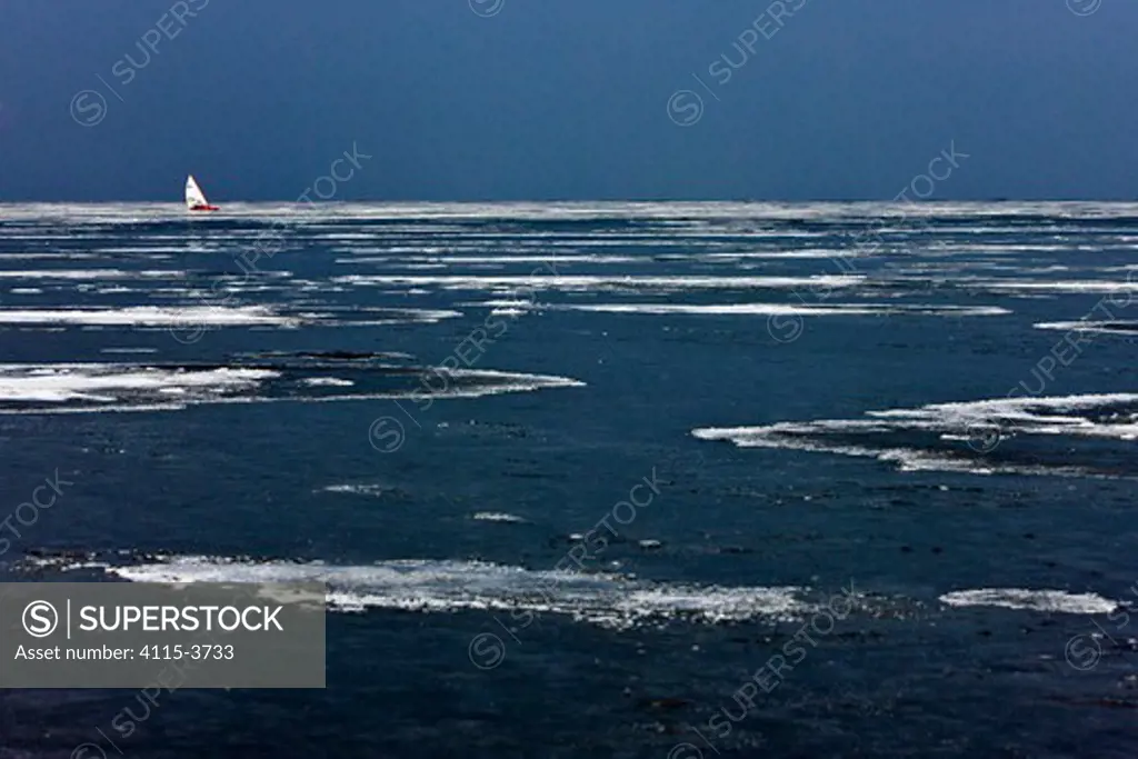 Ice yacht in the distance during the DN (Detroit News) Ice Sailing World Championship, Neusiedlersee, Austria, 2010.