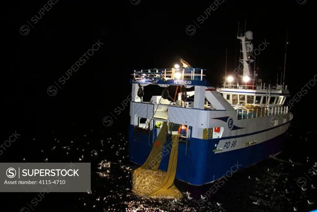 Fishing vessel 'Harvester' taking a good haul of Saithe (Pollachius virens) aboard, at night on the North Sea, 60 miles North East of the Shetlands. February 2010, Property released.