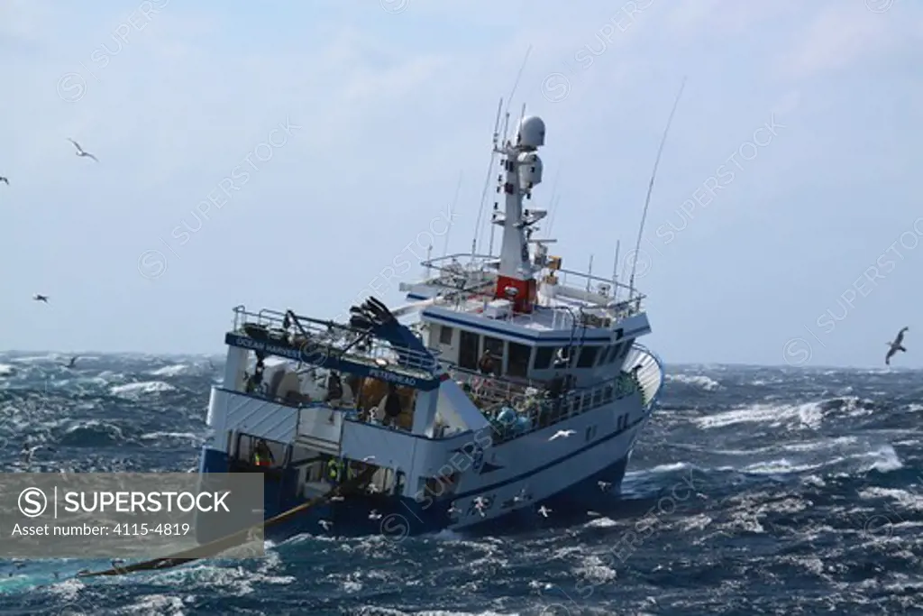 Fishing vessel 'Ocean Harvest' hauling net onboard. North Sea, September 2010. Property released.
