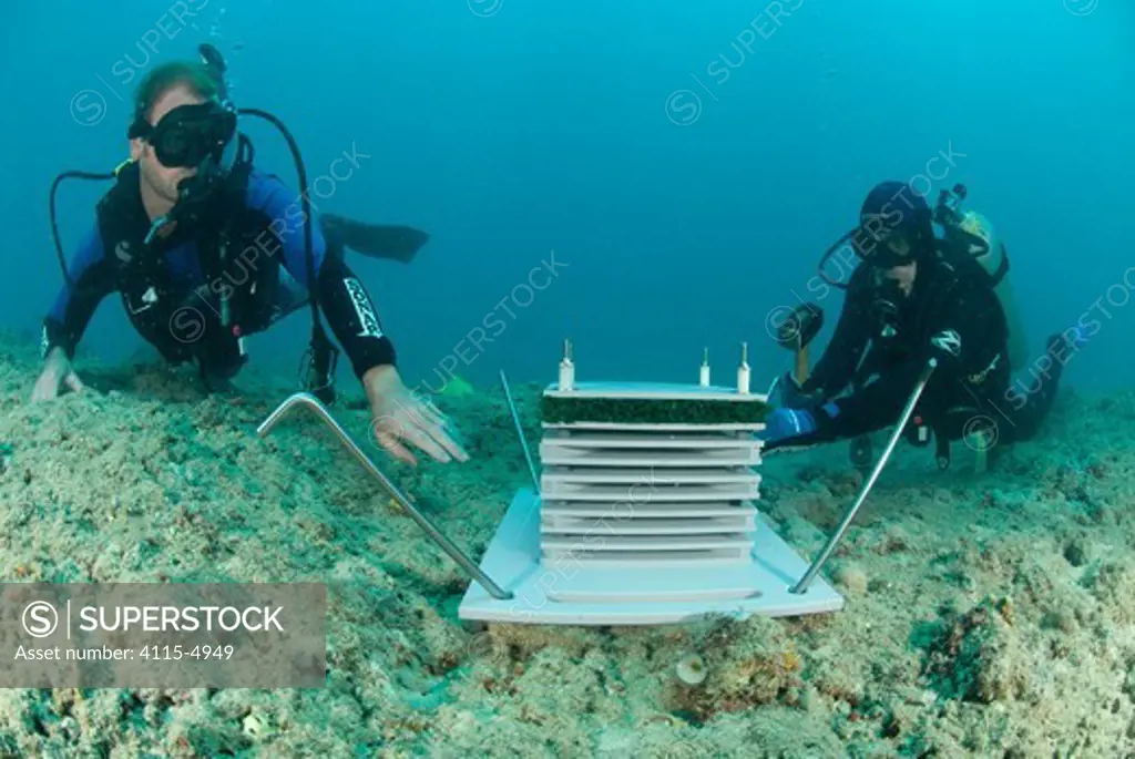 Julian Caley and Shawn Smith install an artificial reef as part of CReefs four year project to check what life form will inhabit this structure, Coral Life census, Lizard Island, Queensland, Australia, April 2008