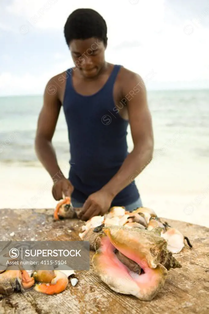 Young man preparing Conch (Strombidae) for restaurants. Blue Hills Area on Provodenciales, Turks and Caicos, Caribbean. June 2007. No release.