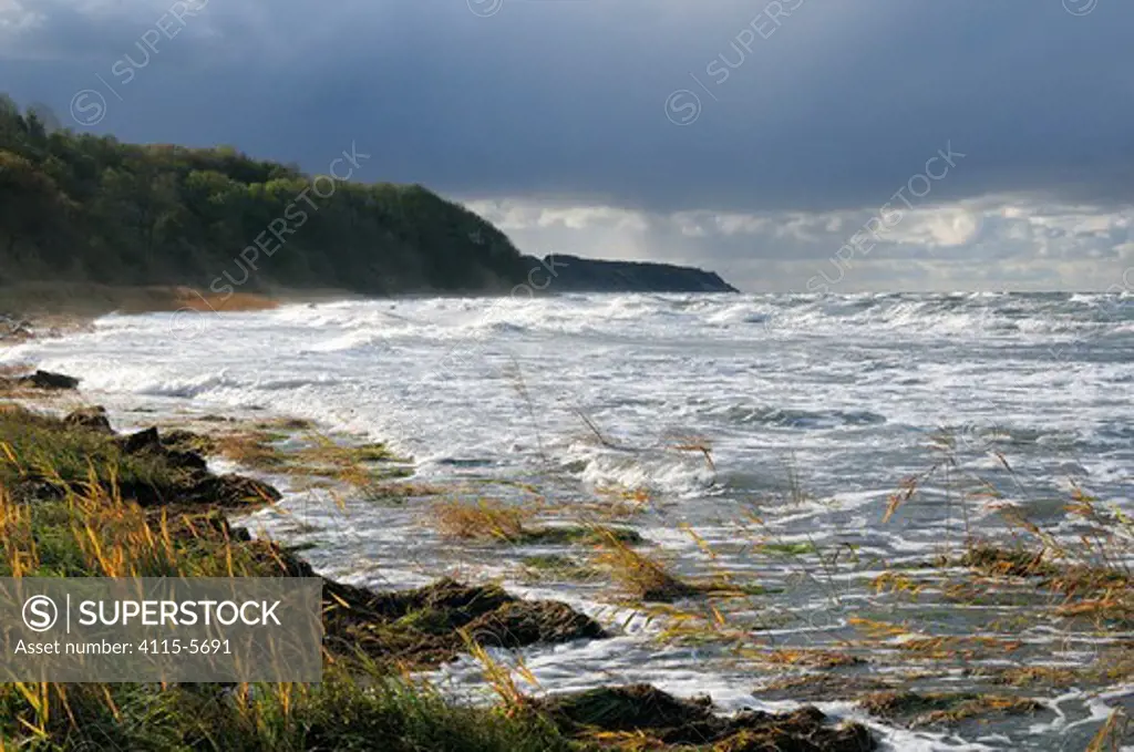 Baltic sea shore and cliffs on a stormy day at Gellort, Cape Arkona, Rugen island. Germany's most northerly point. Mecklenberg-Vorpommern, Germany.