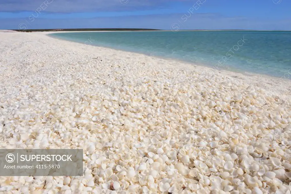 View of Shell Beach, a unique beach of tiny white shells, up to 10 metres deep and stretching for over 120km. Shark Bay, Western Australia. August 2009