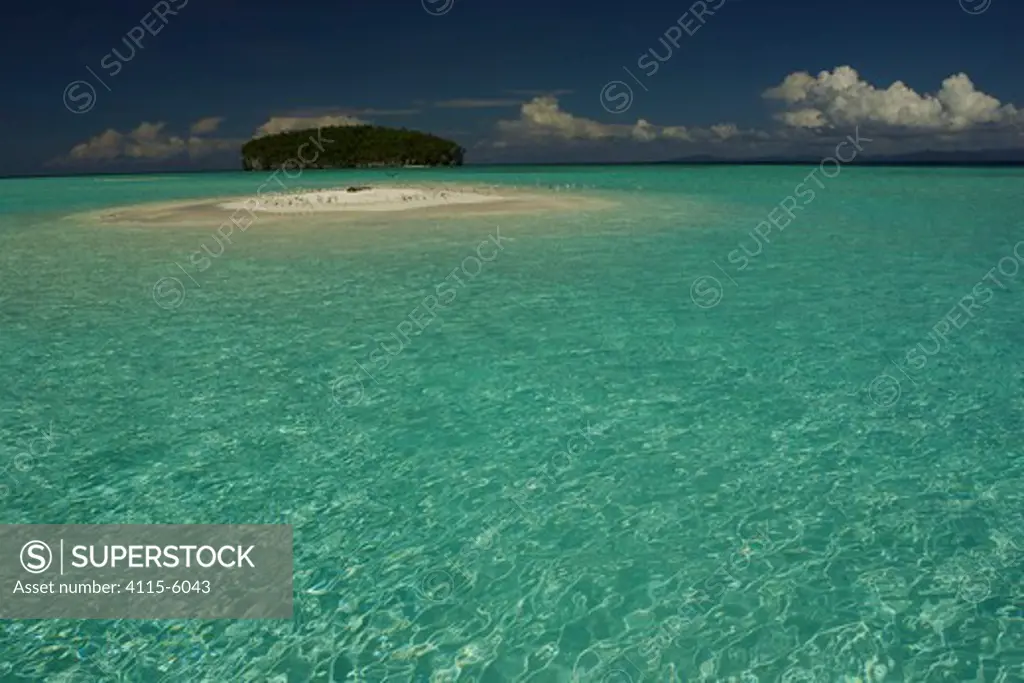Flock of Terns (Sterinae) resting on a sand islet near Kri Island in the Raja Ampat Islands, Indonesia, May 2007