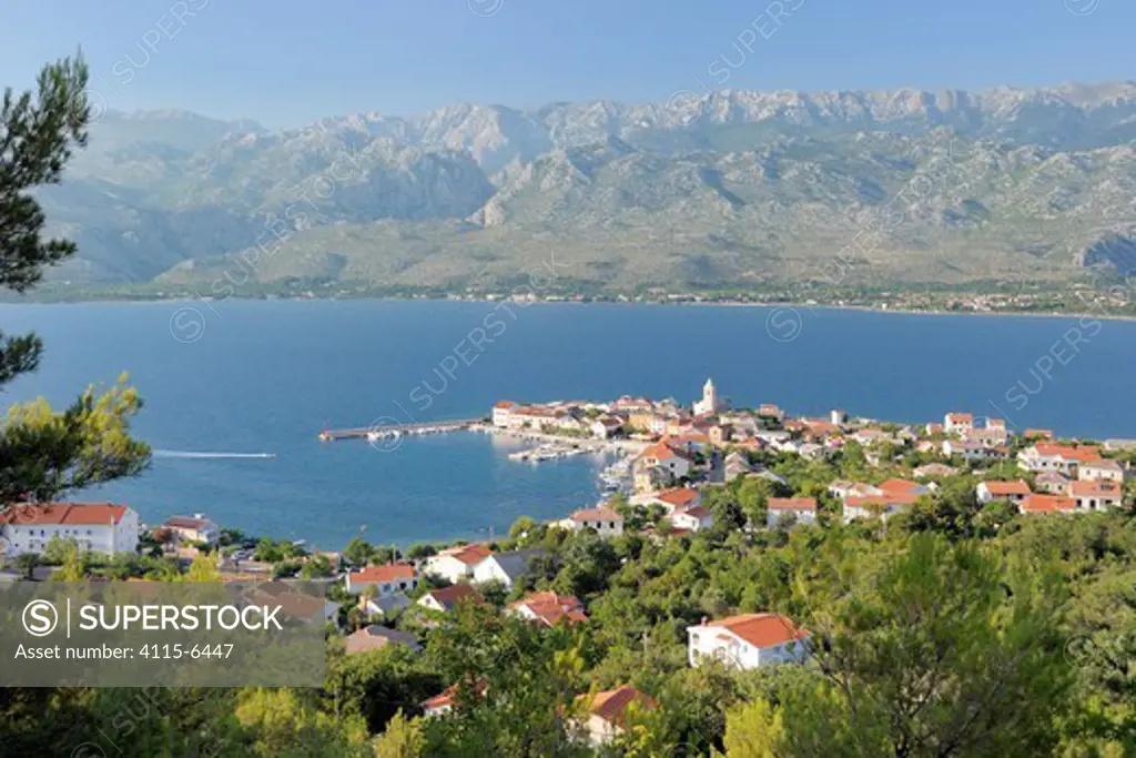 Overview of Vinjerac fishing village and harbour with Pine trees (Pinus sp.) in the foreground and the karst limestone Velebit mountain range of the Dinaric Alps in the background, Zadar province, Croatia, July 2010.