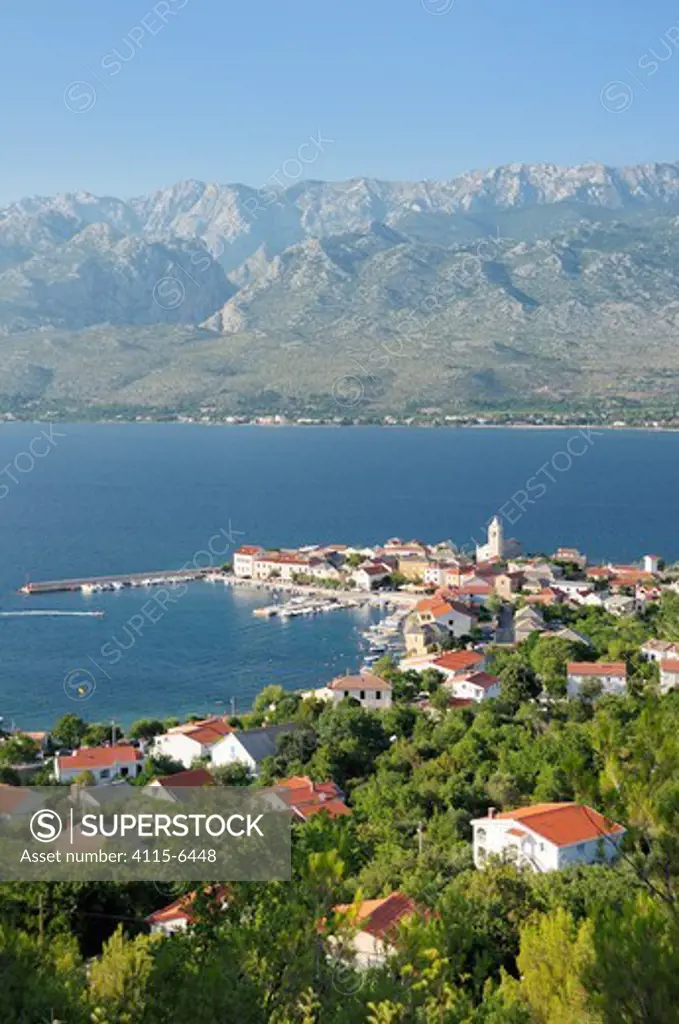 Overview of Vinjerac fishing village and harbour with Pine trees (Pinus sop.) in the foreground and the karst limestone Velebit mountain range of the Dinaric Alps in the background, Zadar province, Croatia, July 2010.
